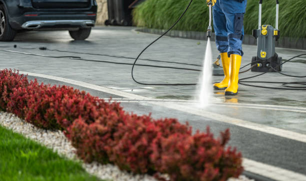 Best Patio and Deck Pressure Washing  in Coral Hills, MD